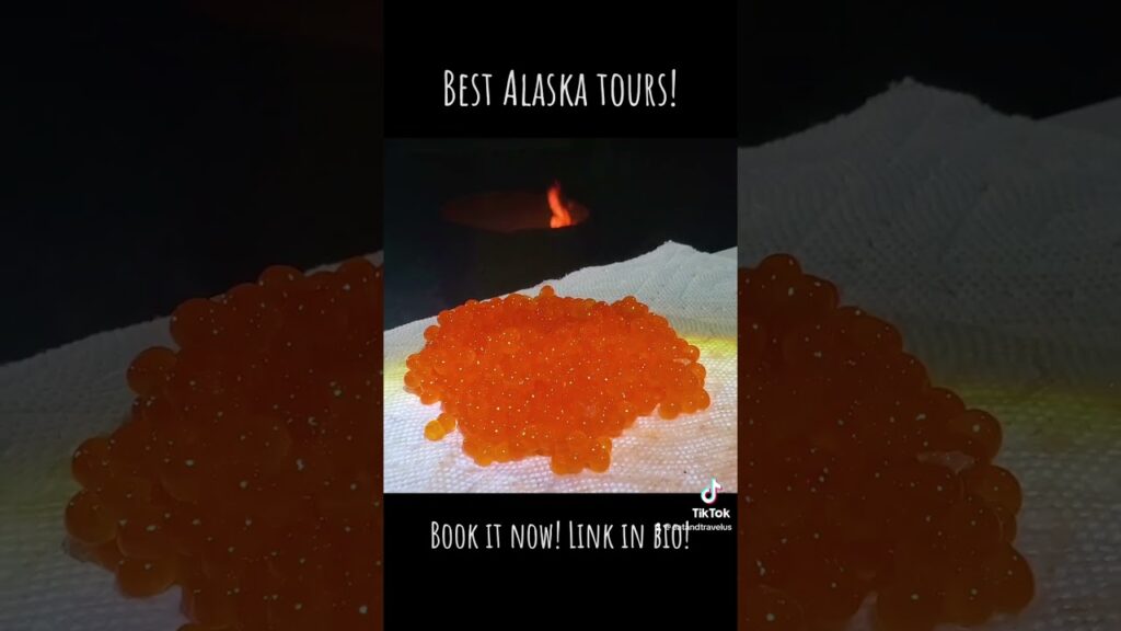 Best Alaska Tours! RV, Fishing, Hiking and much more!