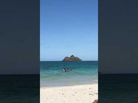 Discover The World’s Best Beach | Oahu Best Tours  #shorts #hawaii #lanikai #beach