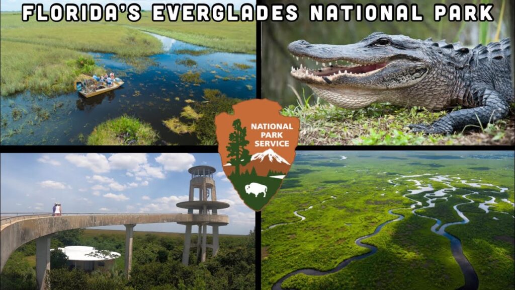 Everglades National Park - Best Tours, Trails & Wildlife (2023)