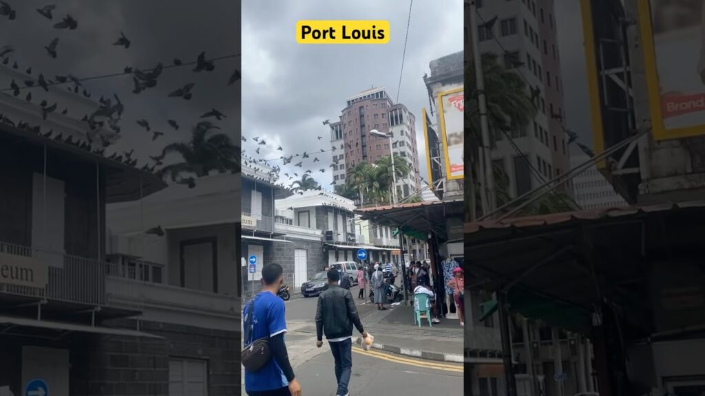 Port Louis city 🇲🇺 international travel blog #travel #downtownviews #views #viralvideo